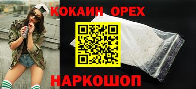 дживик Можга