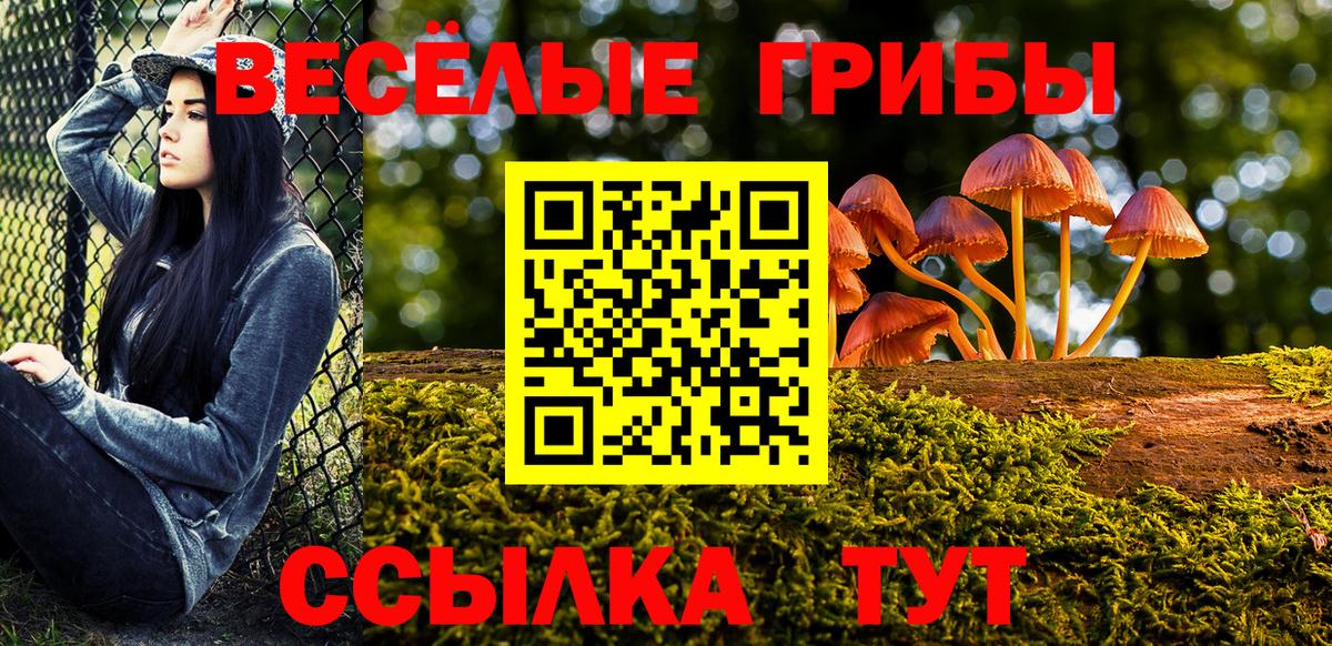 Галлюциногенные грибы ЛСД  Псилоцибиновые грибы MAGIC MUSHROOMS  Вход с VPN  Владикавказ 