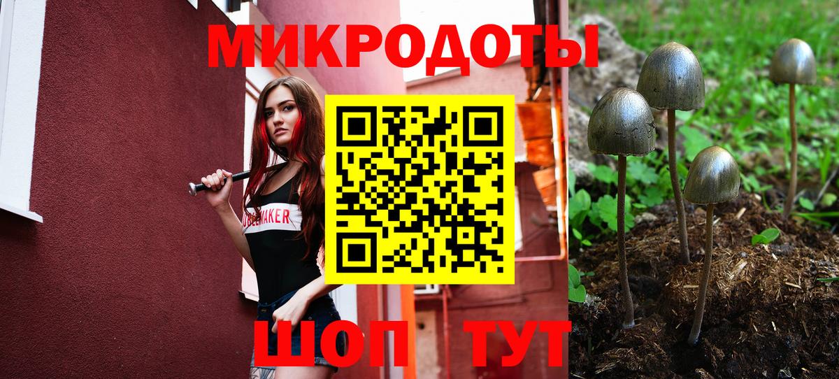 Псилоцибиновые грибы прущие грибы Владикавказ